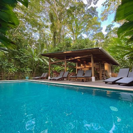 Satta Lodge (Adults Only) Puerto Viejo de Talamanca Екстер'єр фото