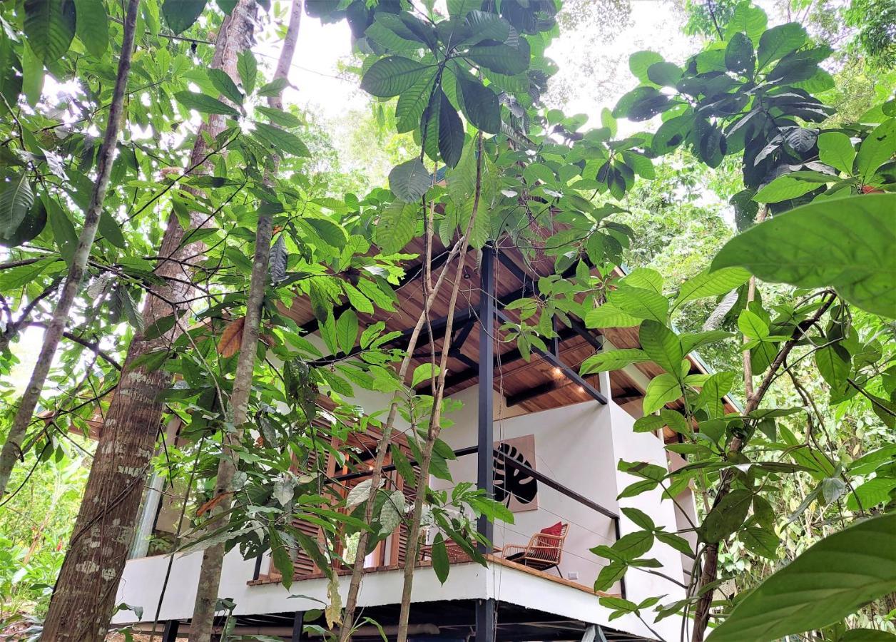 Satta Lodge (Adults Only) Puerto Viejo de Talamanca Екстер'єр фото