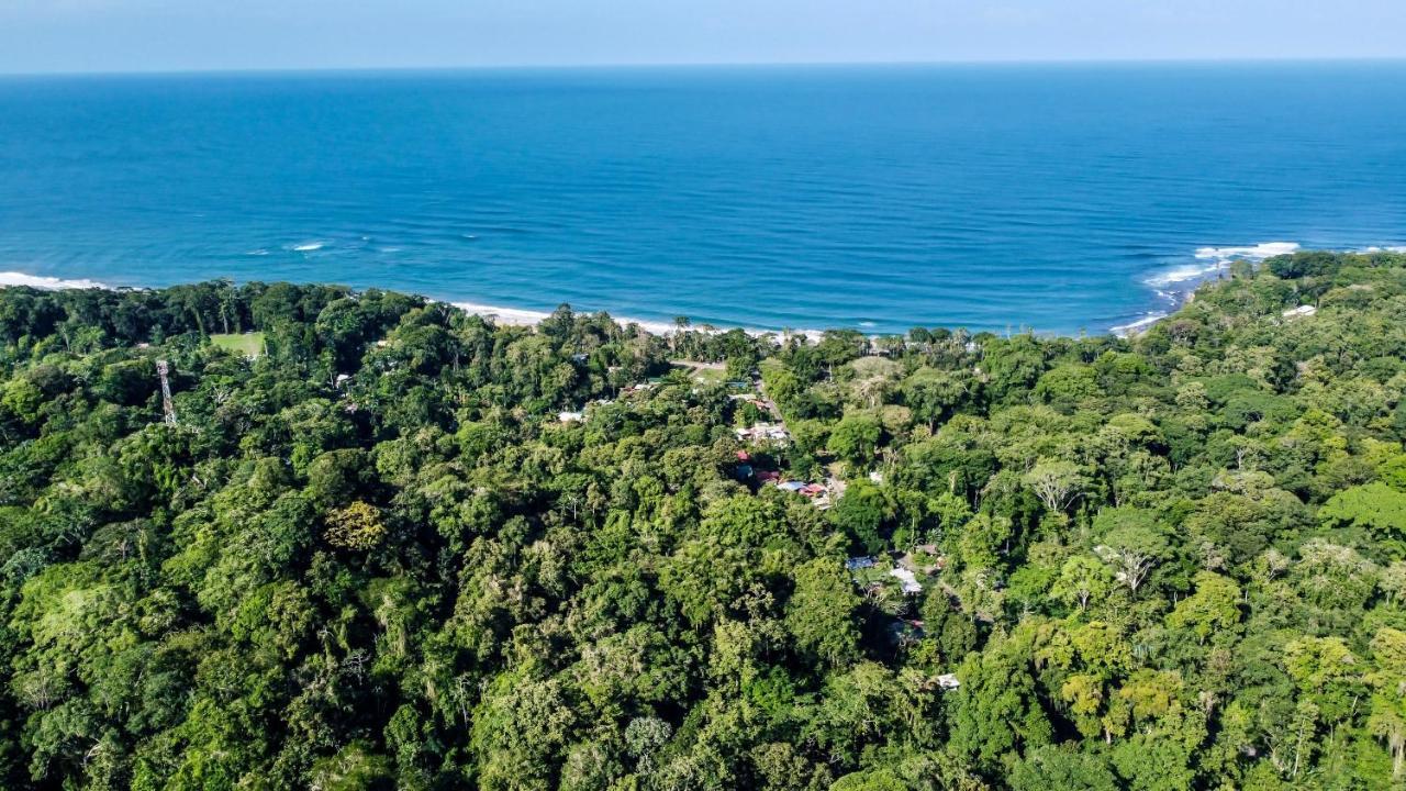 Satta Lodge (Adults Only) Puerto Viejo de Talamanca Екстер'єр фото