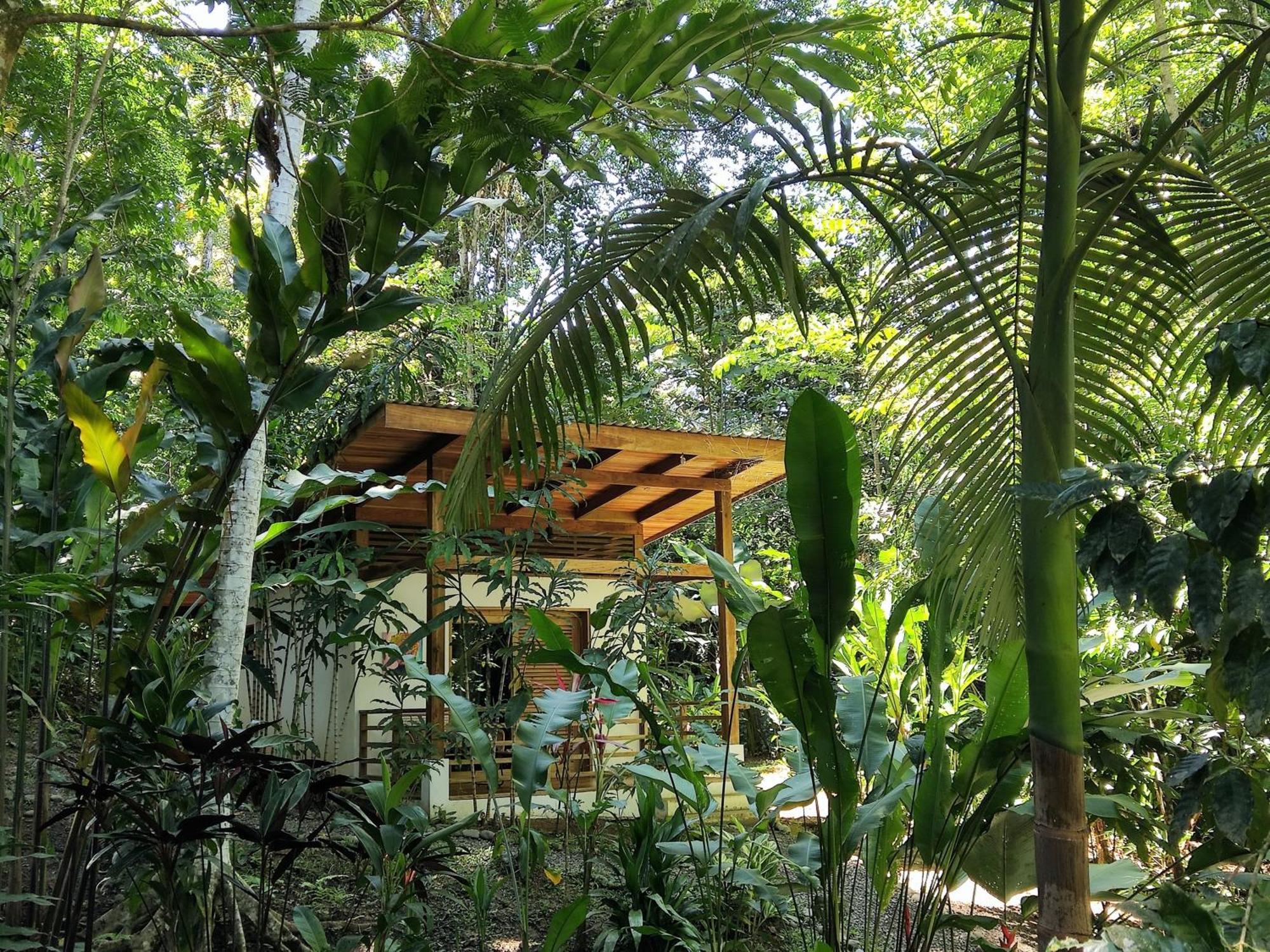 Satta Lodge (Adults Only) Puerto Viejo de Talamanca Номер фото