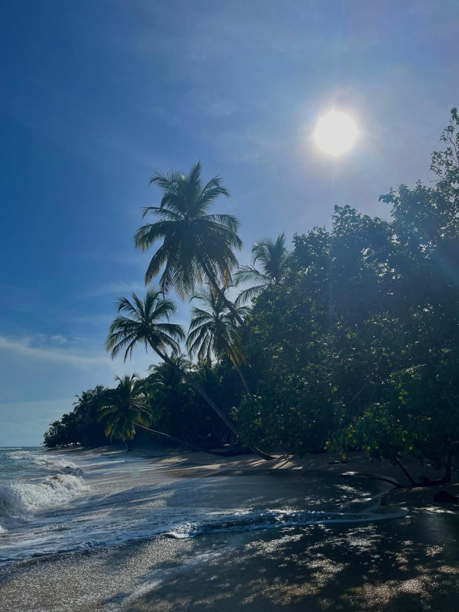 Satta Lodge (Adults Only) Puerto Viejo de Talamanca Екстер'єр фото