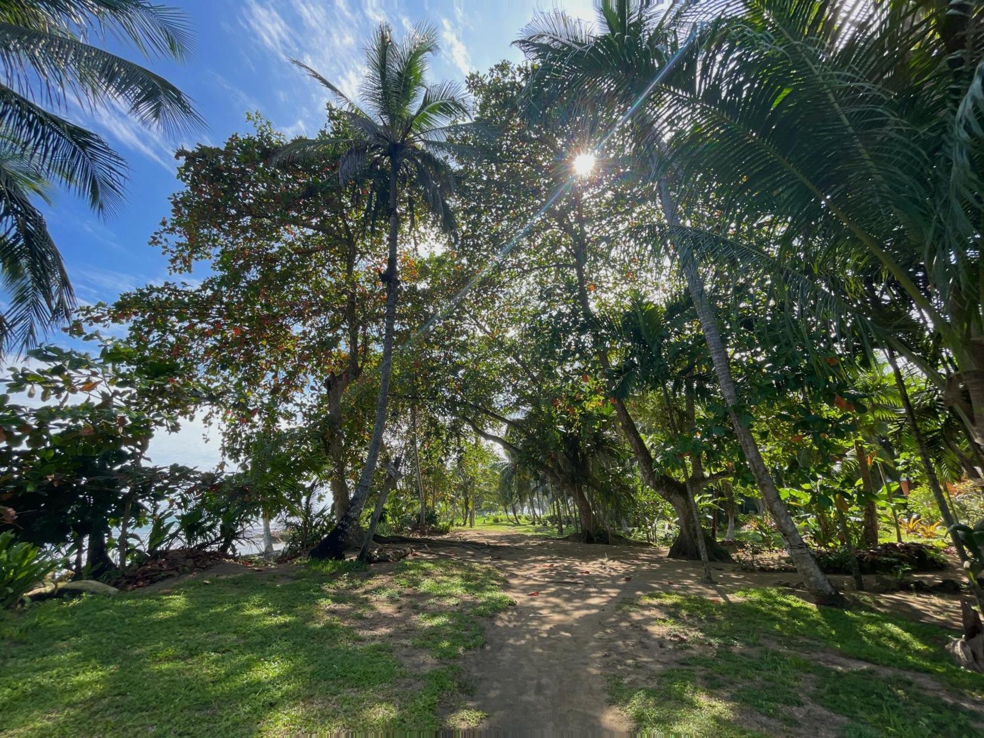 Satta Lodge (Adults Only) Puerto Viejo de Talamanca Екстер'єр фото
