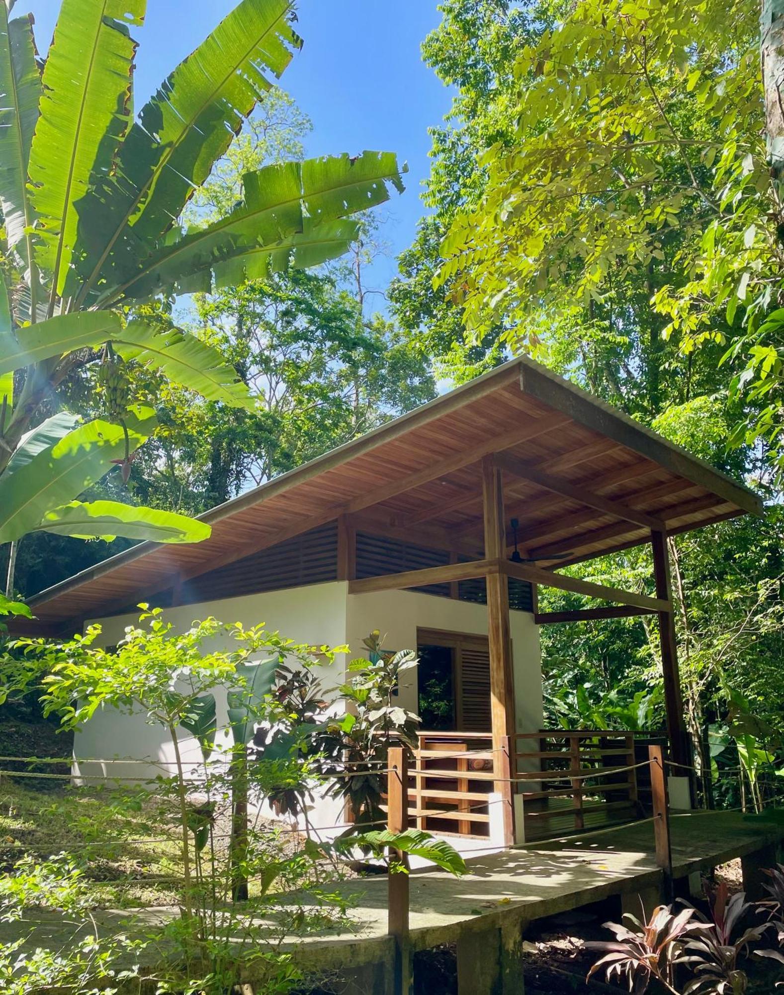 Satta Lodge (Adults Only) Puerto Viejo de Talamanca Екстер'єр фото