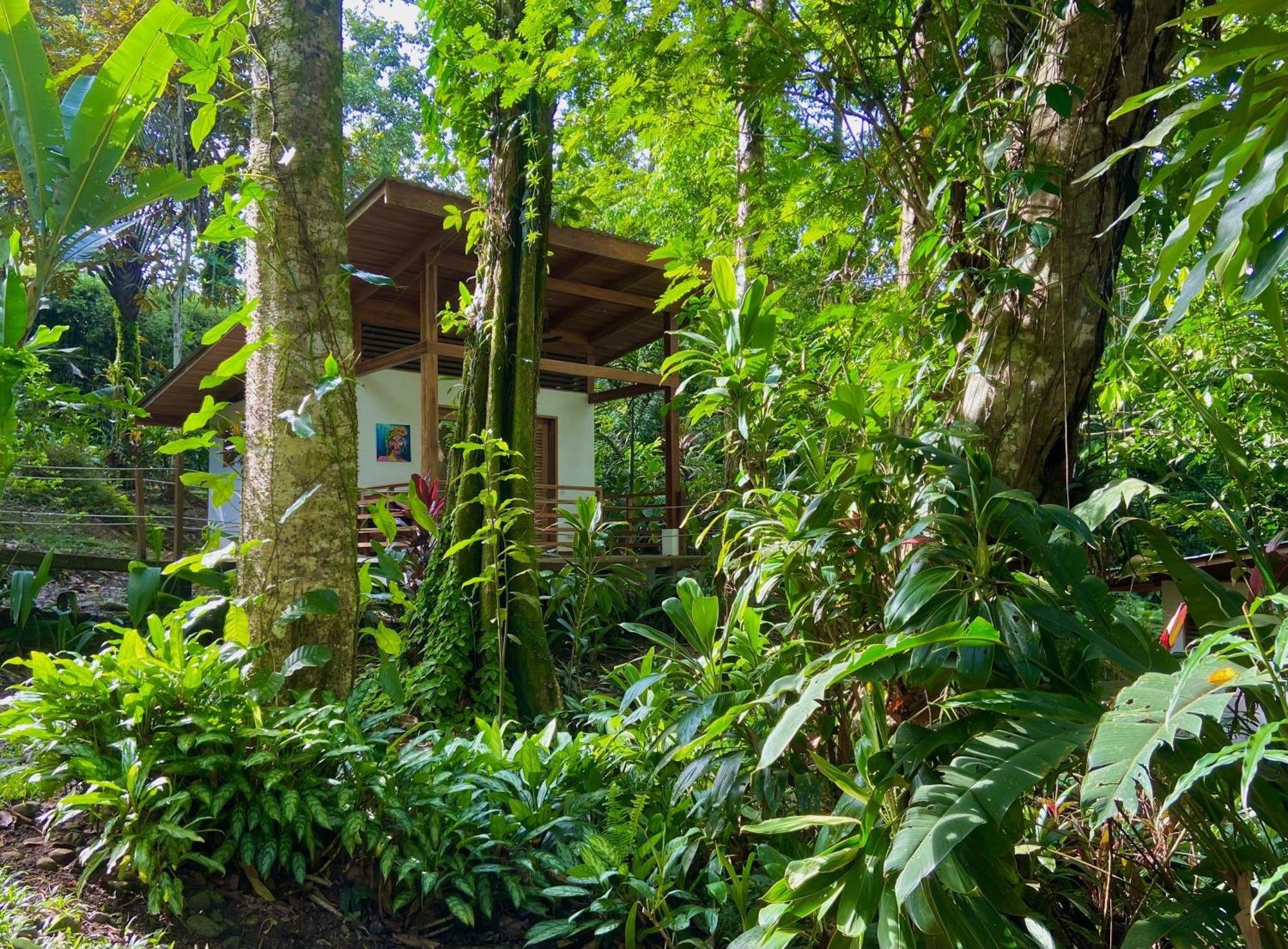 Satta Lodge (Adults Only) Puerto Viejo de Talamanca Екстер'єр фото