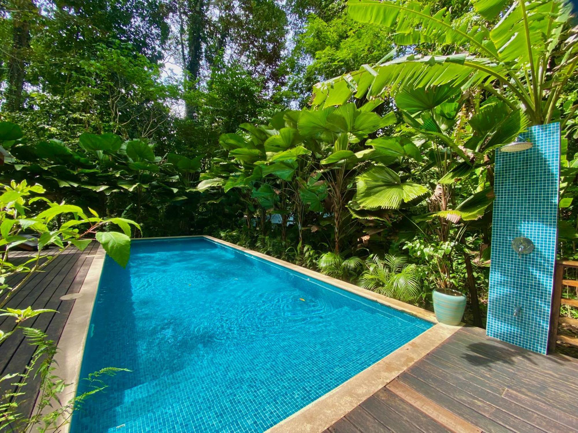Satta Lodge (Adults Only) Puerto Viejo de Talamanca Екстер'єр фото